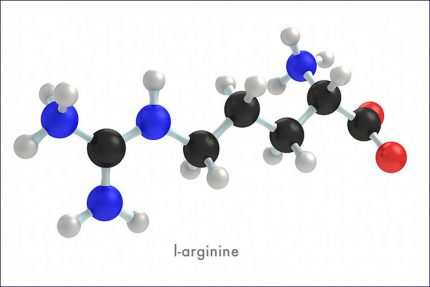 1.L – Arginine