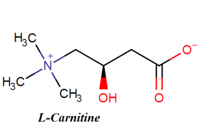 L – Carnitine